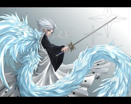 le bankai d'histugaya