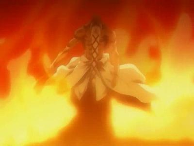 le shikai de yamamoto